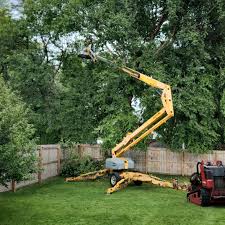 Best Arborist Consultation Services  in Point Baker, FL